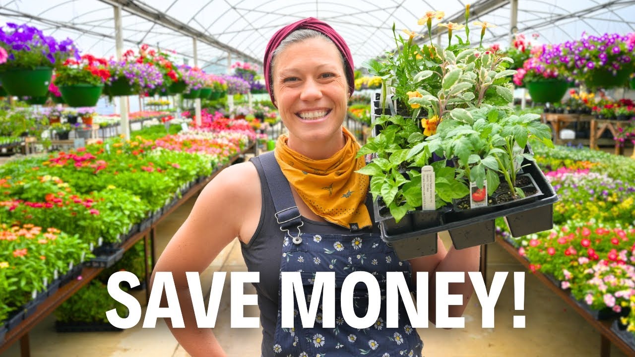 The Lazy Gardener&rsquo;s Guide to Plant Shopping Like a Pro