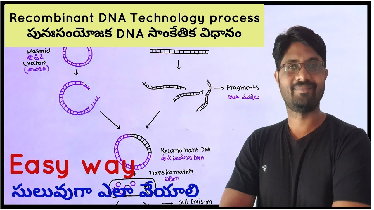 Recombinant DNA Technology Process | పునఃసంయోజక DNA సాంకేతిక విధానం