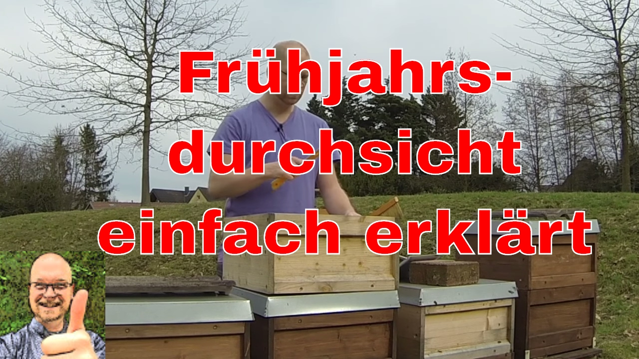 Imkerei: Die Frühjahrsdurchsicht (für Neulinge und Fortgeschrittene)