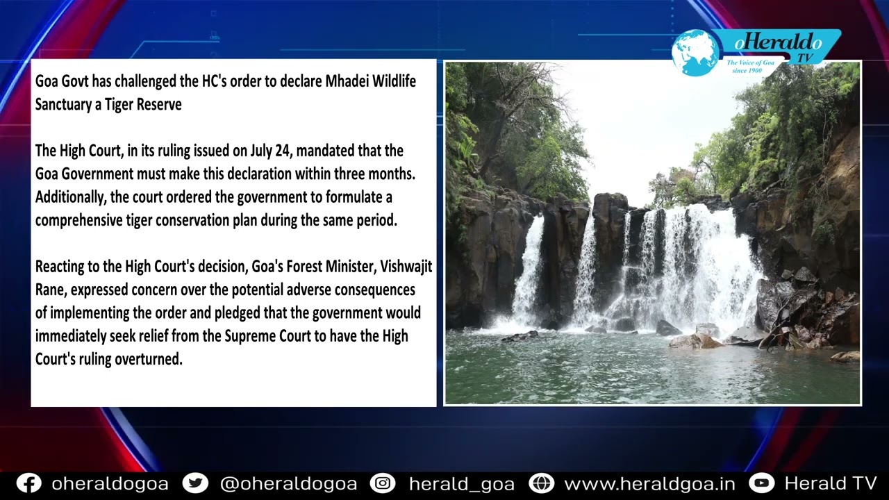 Goa Govt  Challenges HC's Order to Declare Mhadei Wildlife Sanctuary a Tiger Reserve