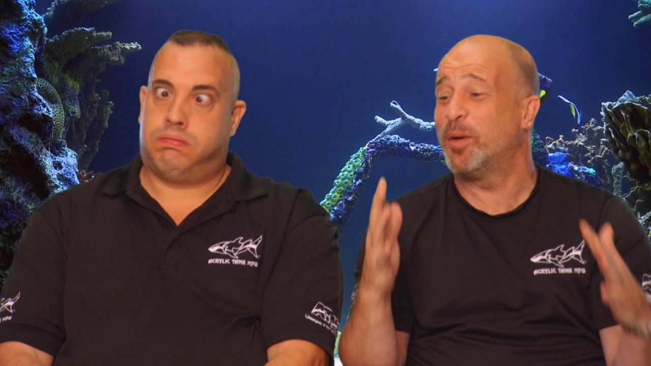 Celebrity Scoop - Penn & Teller
