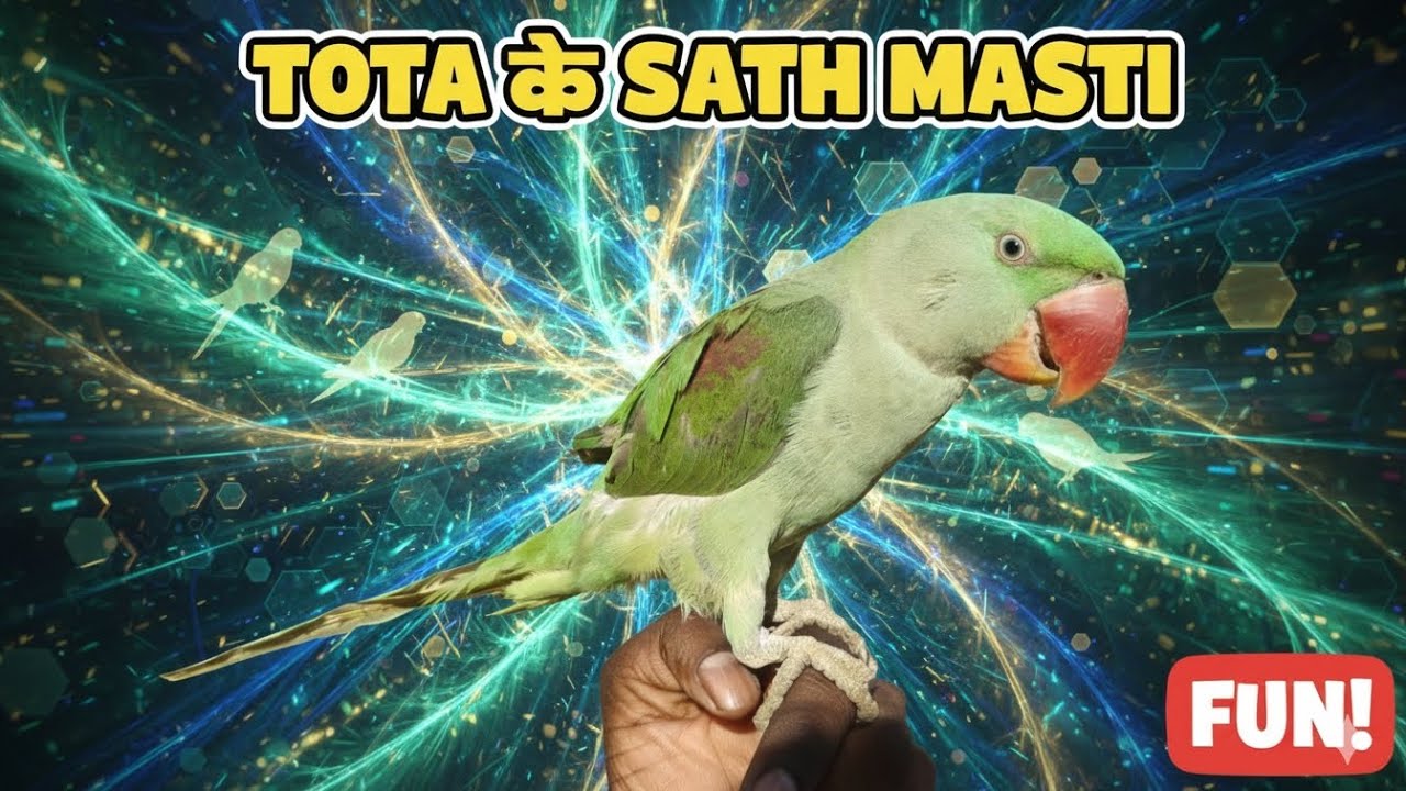 Tota ke sath masti 😁