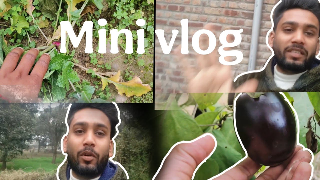 Ghr ki tazi sabziya😁(mini vlog)