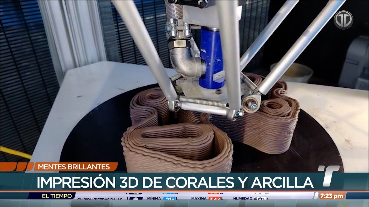Mentes Brillantes: María De Los Ángeles Ortega, ingeniera destacada