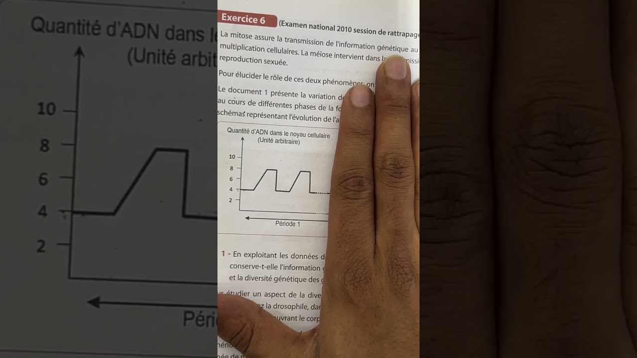 exercices l'information g&eacute;n&eacute;tique 🚨