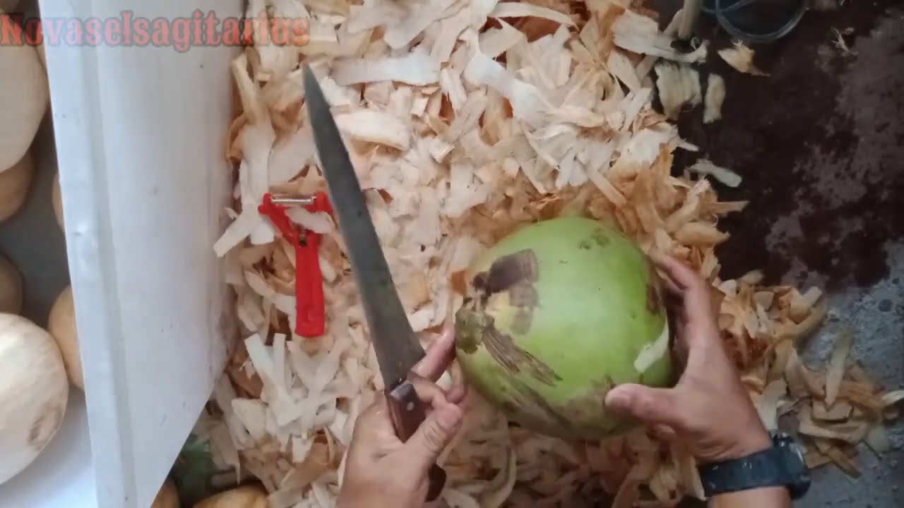 Viral kelapa muda ala cafe