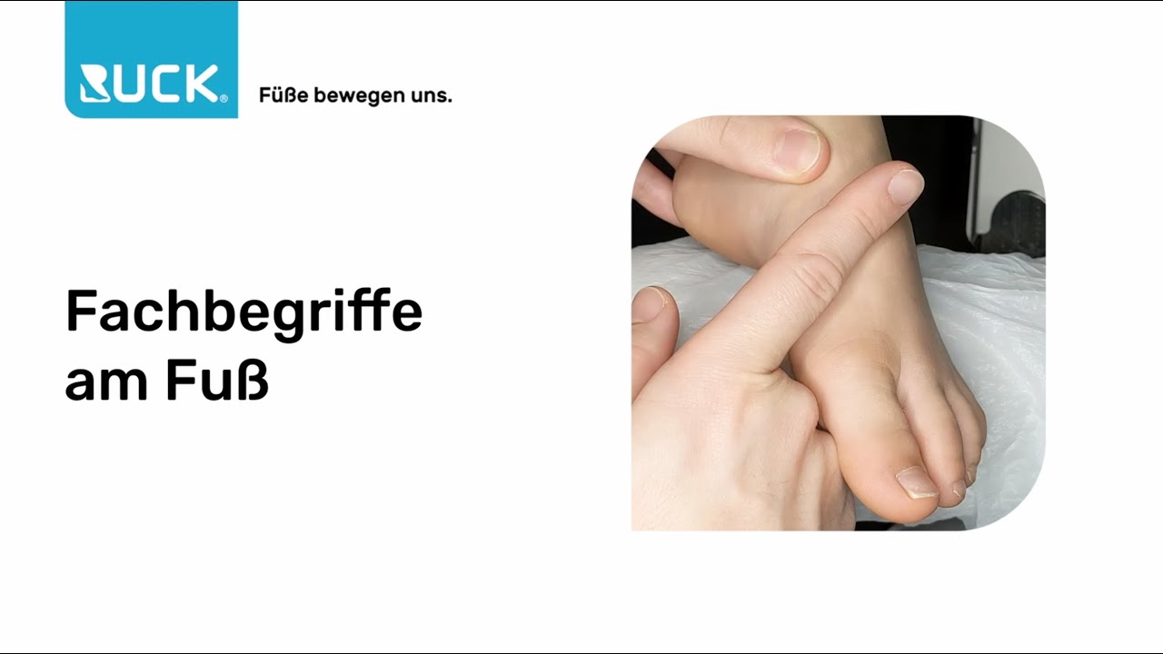 Fachbegriffe am Fuß