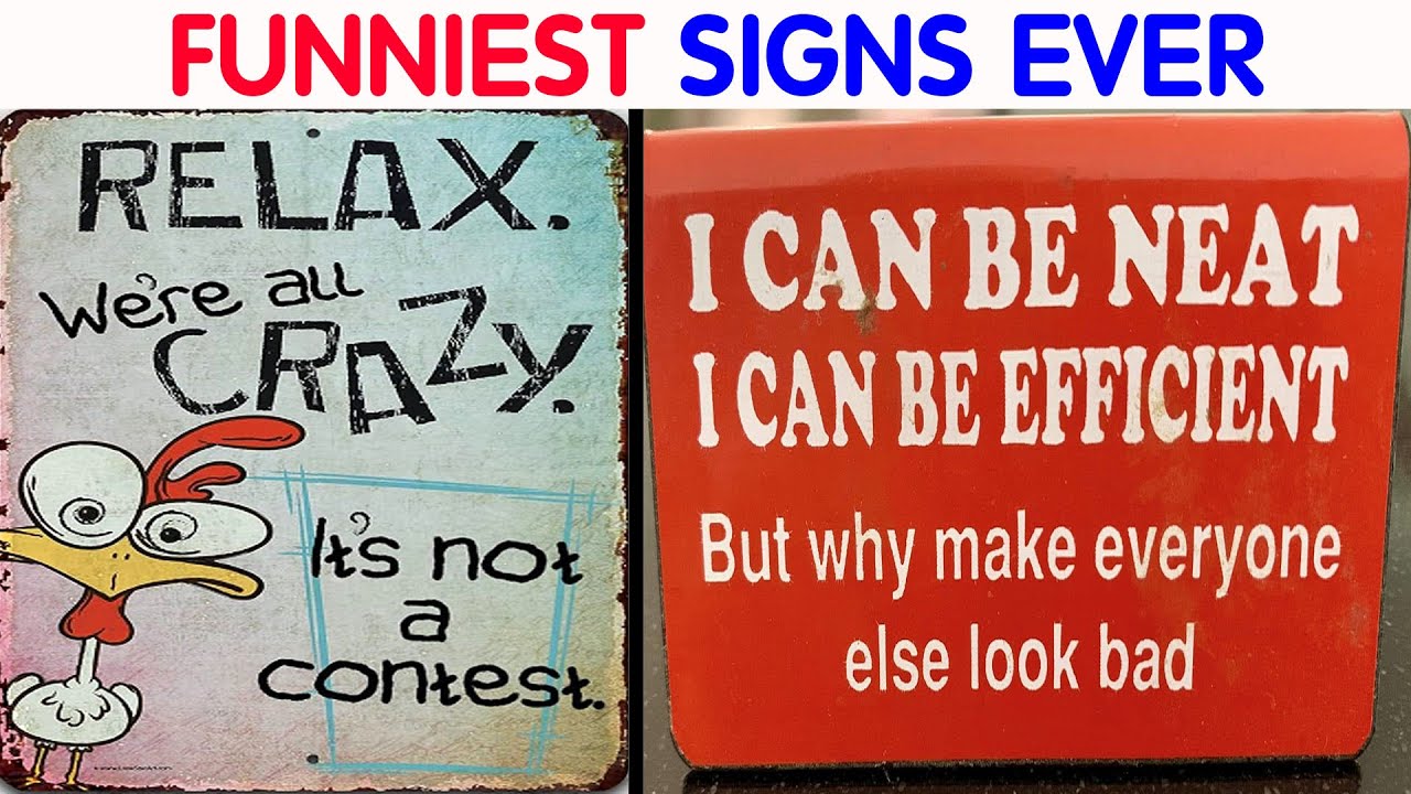 Absolutely Dumb Signs For Those In Need Of A Good Laugh || video compilation #39