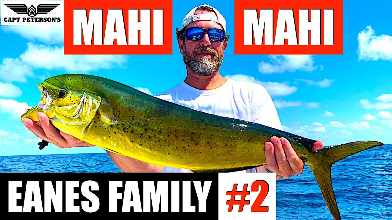 Mahi Mahi Fishing - St George Island, FL