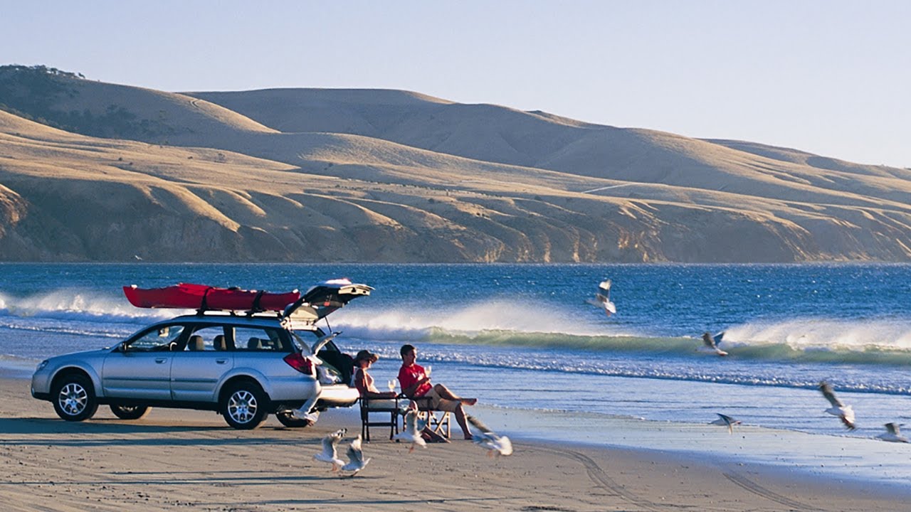 Aldinga Beach Walk & Talk | Fleurieu Peninsula SA