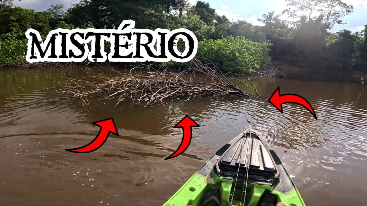 ACAMPAMENTO E PESCARIA NA AMAZÔNIA - DEPOIS DE MAIS DE 20 ANOS EU AINDA ME SURPREENDO COM ESSE LUGAR