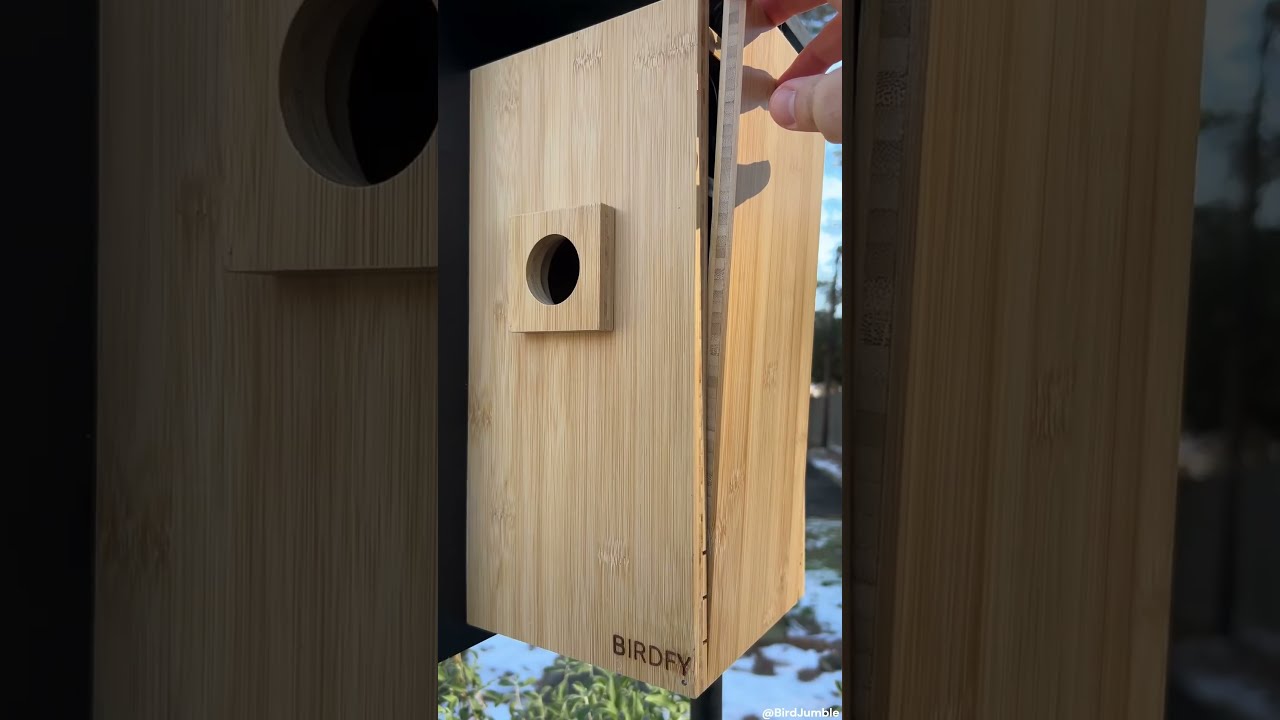 Birdfy Nest Smart Dual Camera Birdhouse