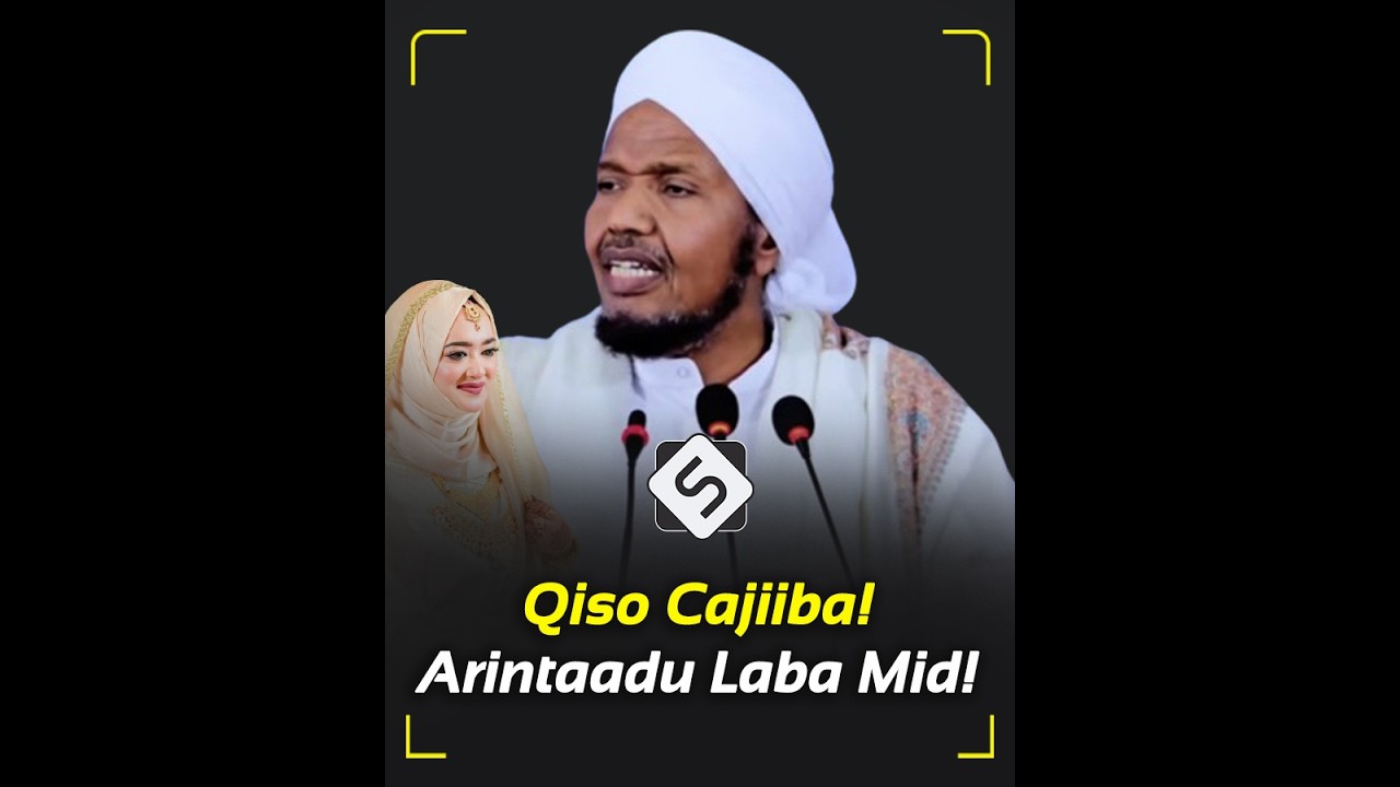 Sh Cabdirashiid Sh Cali Suufi | Qiso Cajiiba Gaalkii Sharciga Dalkiisa u Jabiyey Culimo Soomali ah!