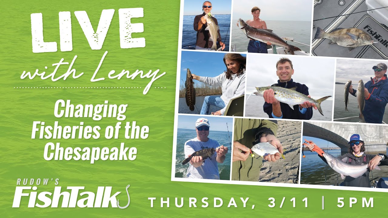 Changing Fisheries of the Chesapeake Bay