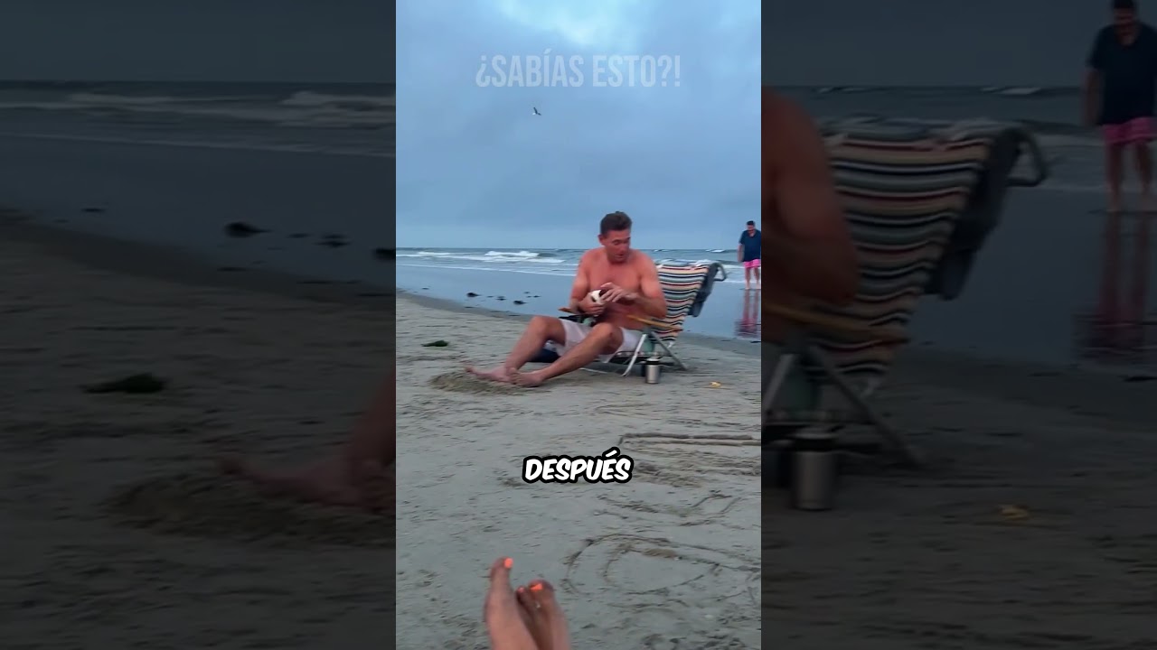 &Eacute;l Logr&oacute; Calmar a la Gaviota y el Final Sorprende! #curiosidades