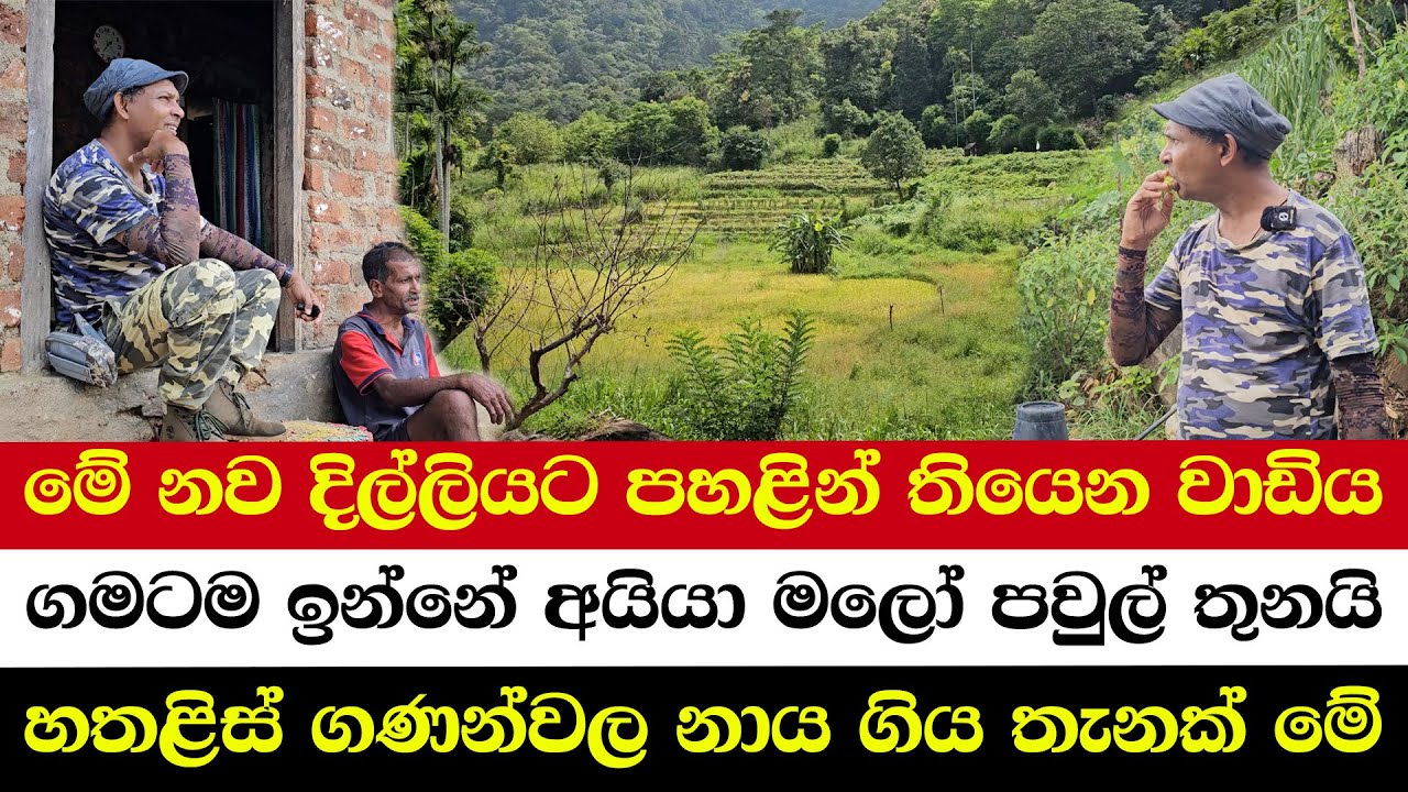 මේ නව දිල්ලියට පහළින් තියෙන වාඩිය | ගමටම ඉන්නේ අයියා මලෝ පවුල් තුනයි | හතළිස් ගණන්වල නාය ගිය තැනක්