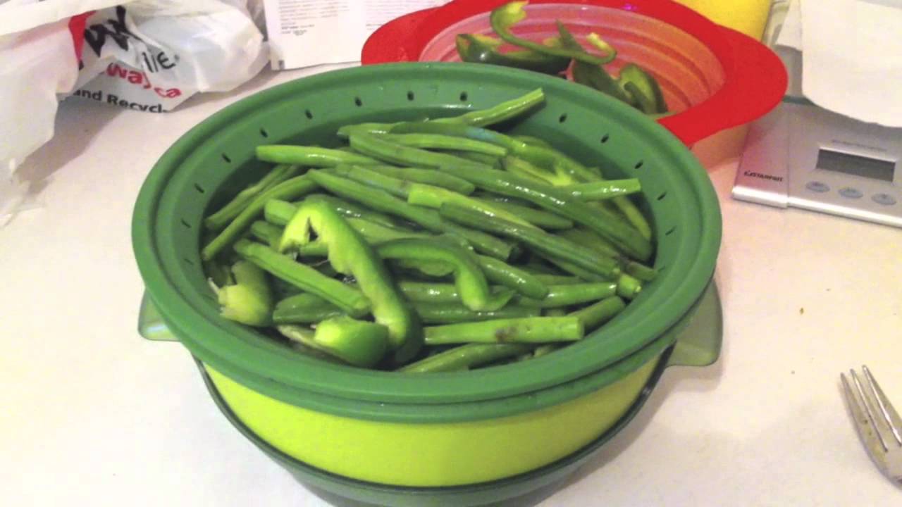 SmartSteamer - Thriveyourway.com