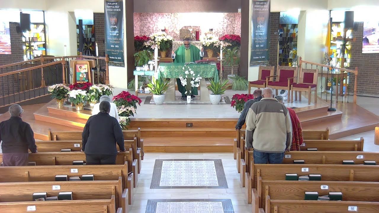 Memorial of Saint Hilary, Bishop and Doctor of the Church