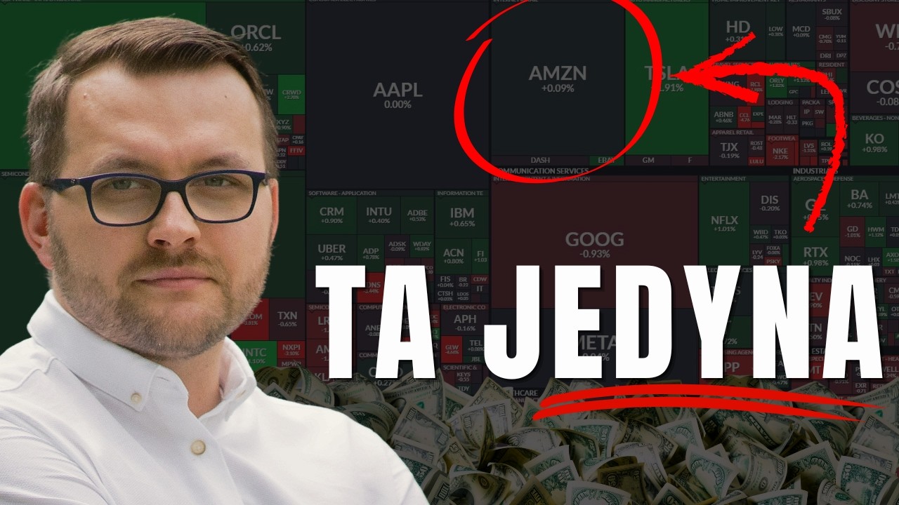 Tą sp&oacute;łkę kupiłbym do portfela na zawsze