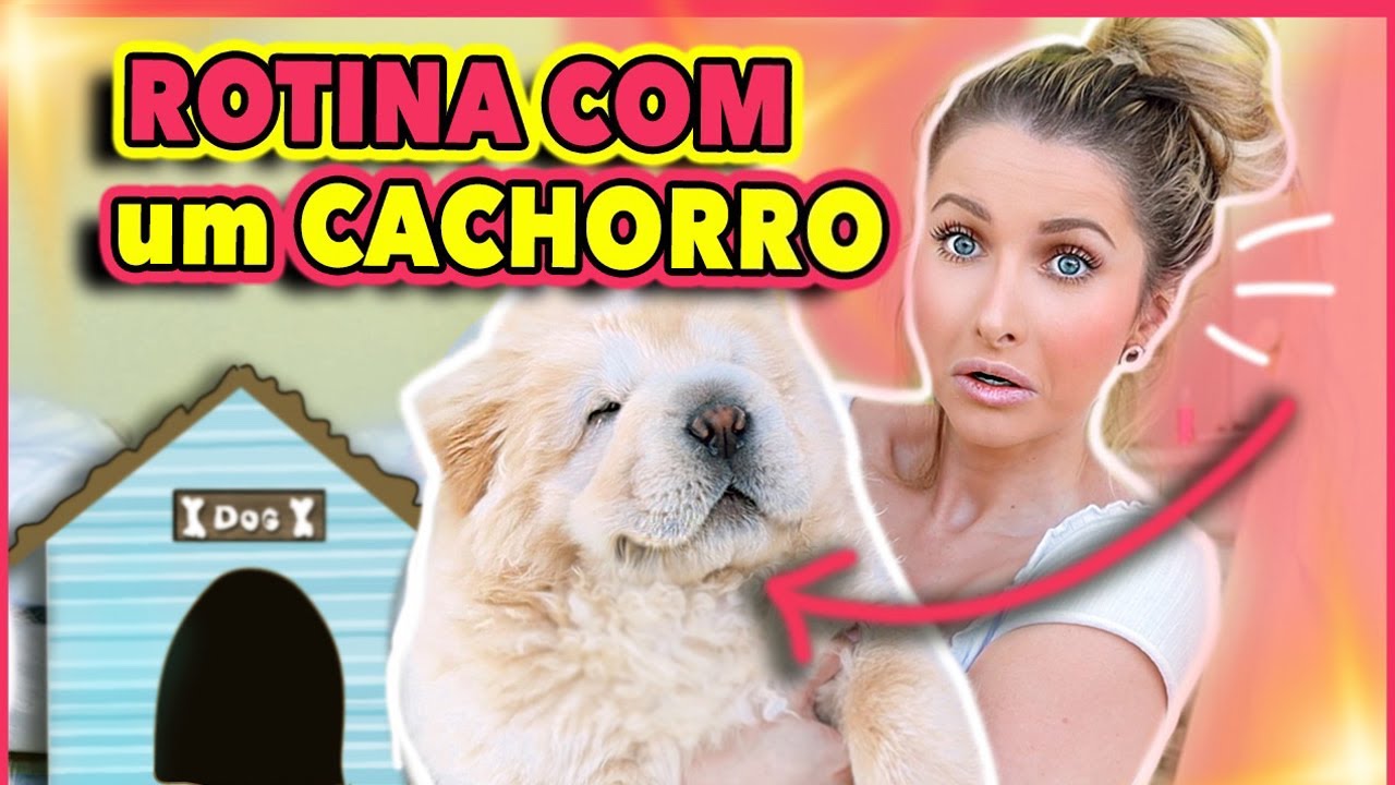 MINHA NOVA ROTINA COM MEU CACHORRO EM CASA! 🐶