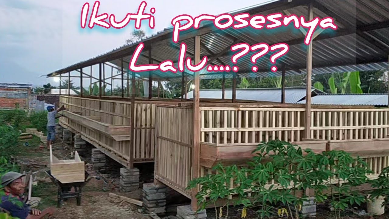 ikuti prosesnya kandang penggemukan semi breeding untuk persiapan qurban