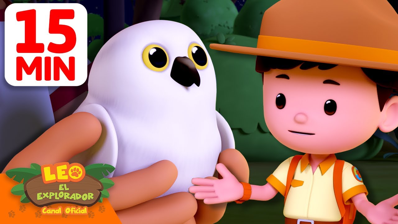 ¿¡Vimos un bebé búho nival!? 🦉 | 15 Min | Leo, El Explorador | Animación