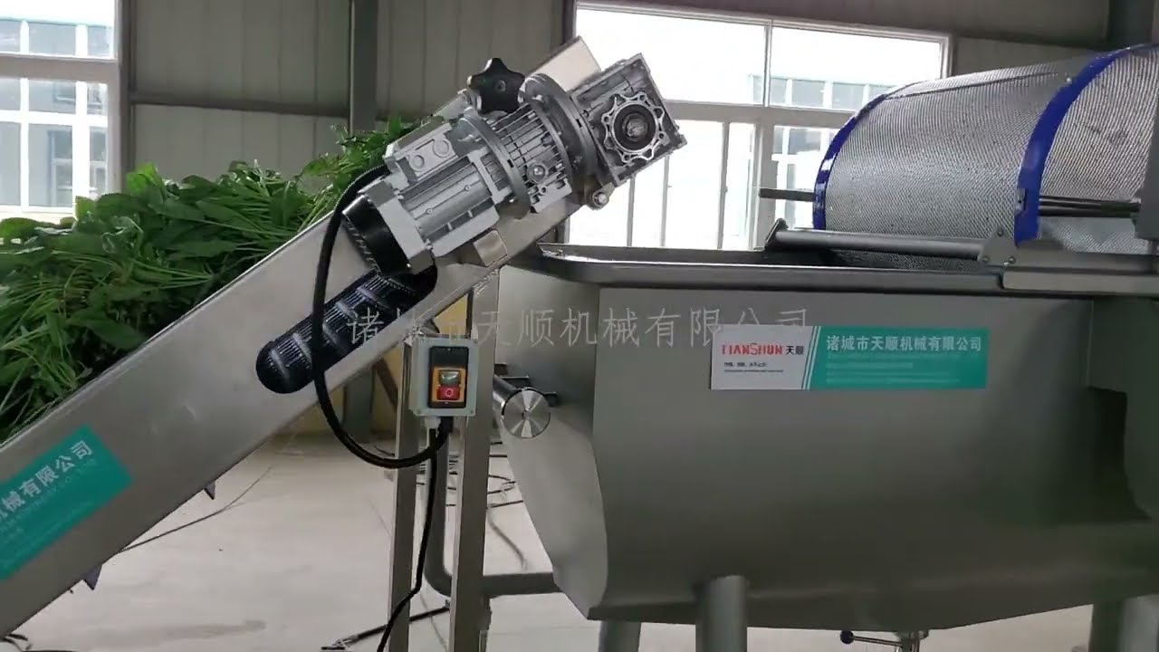 Spinach processing line,washing machines,from sorting to cutting,washing,dewatering,500-1000kg/hr