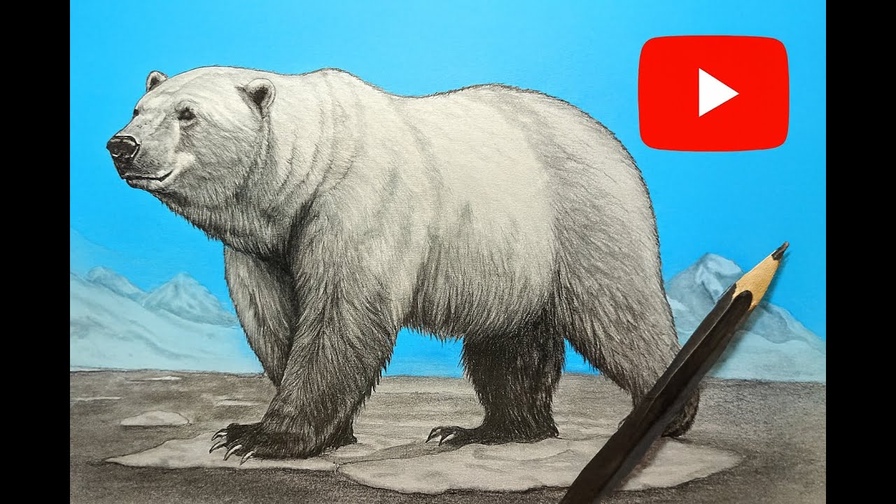 OSO POLAR: Dibujo a lápiz desde cero | Instrucciones paso a paso | БЕЛЫЙ МЕДВЕДЬ | POLAR BEAR |