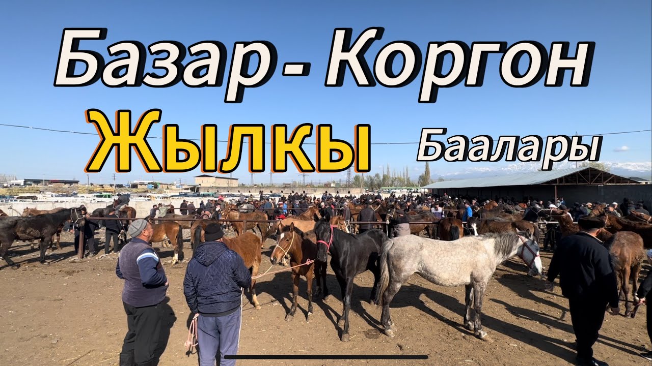 Жылкы базар  Базар Коргон