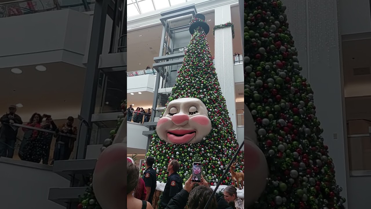 Waking up Woody - Nov 2023.  Mic Mac Mall, Dartmouth, Nova Scotia