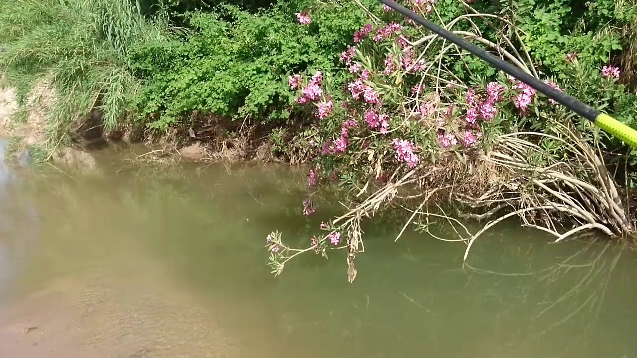 fishing in the nature | interesting fishing | nice moments | balık avı
