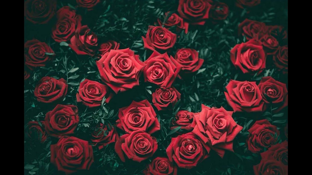 Bed Of Roses - (Bon Jovi Cover) Moz And The Dog