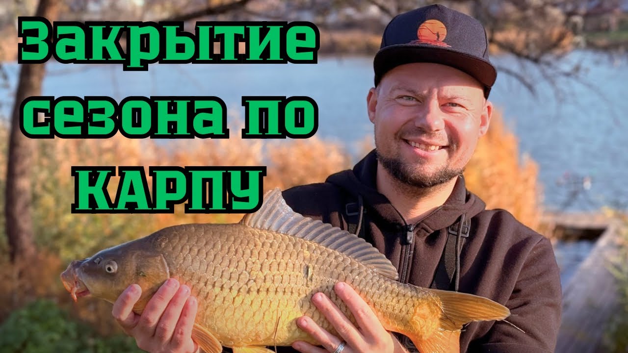 Закрытие сезона по Карпу, эхолот спас рыбалку. #fishing #рыбалка #рыбалканафидер 
