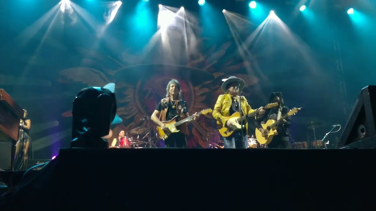 Zucchero 