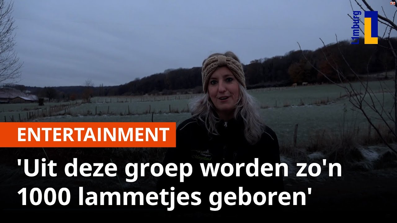 Janine van 'Boer zoekt Vrouw' trekt met 800 schapen door Epen 🐑 | 1Limburg