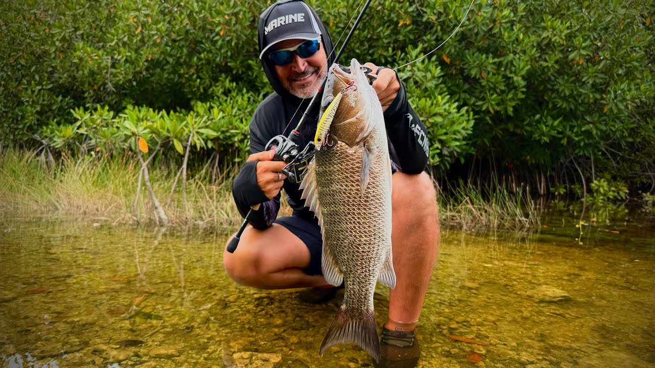 QUANDO VI QUE ERA ESSE PEIXE, NÃO ACREDITEI! No mangue!