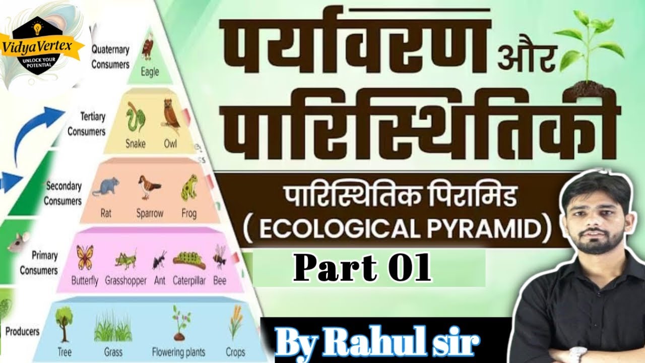 🌿  पारिस्थितिकी पिरामिड | 100% Exam Hit Topic | All Competitive Exam| CLASS #05| BY RAHUL SIR