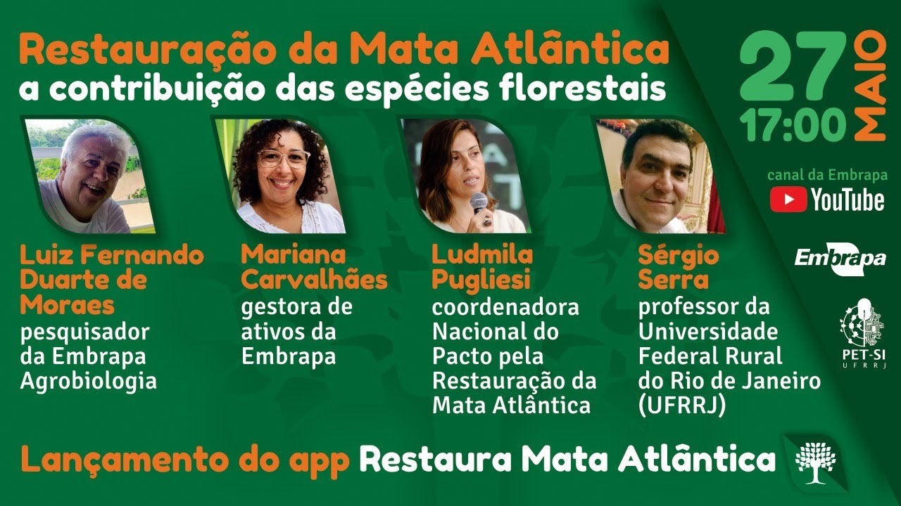 Restauração da Mata Atlântica: a contribuição das espécies florestais