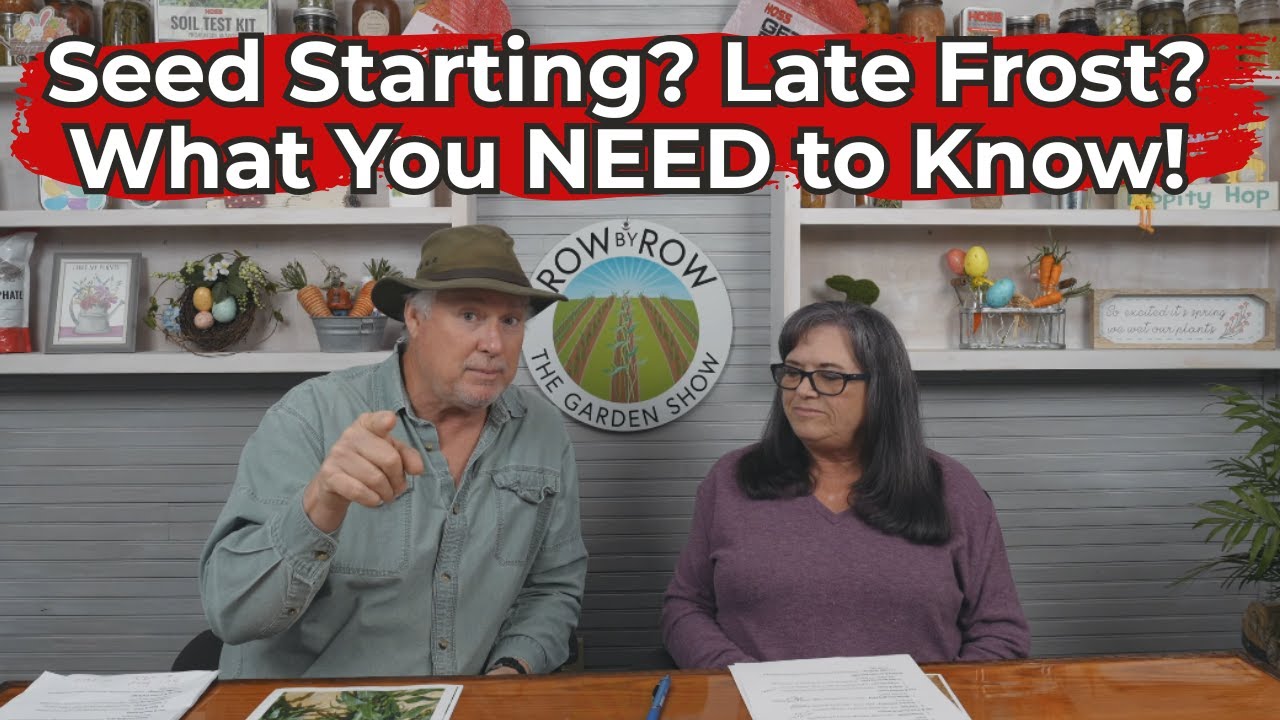 What To Plant Now | March Gardening Tips