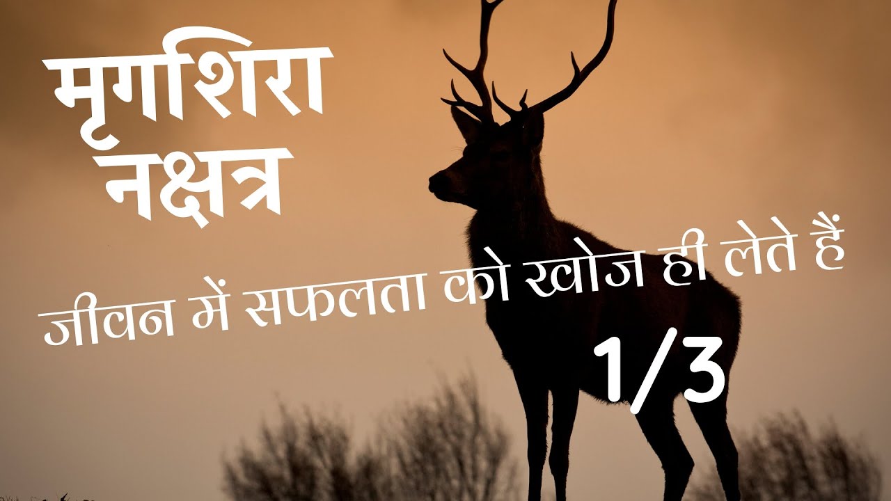 मृगशिरा नक्षत्र - बुनियादी स्वभाव/ देवताओं का शासत्व/ जुड़े हुए चिन्ह