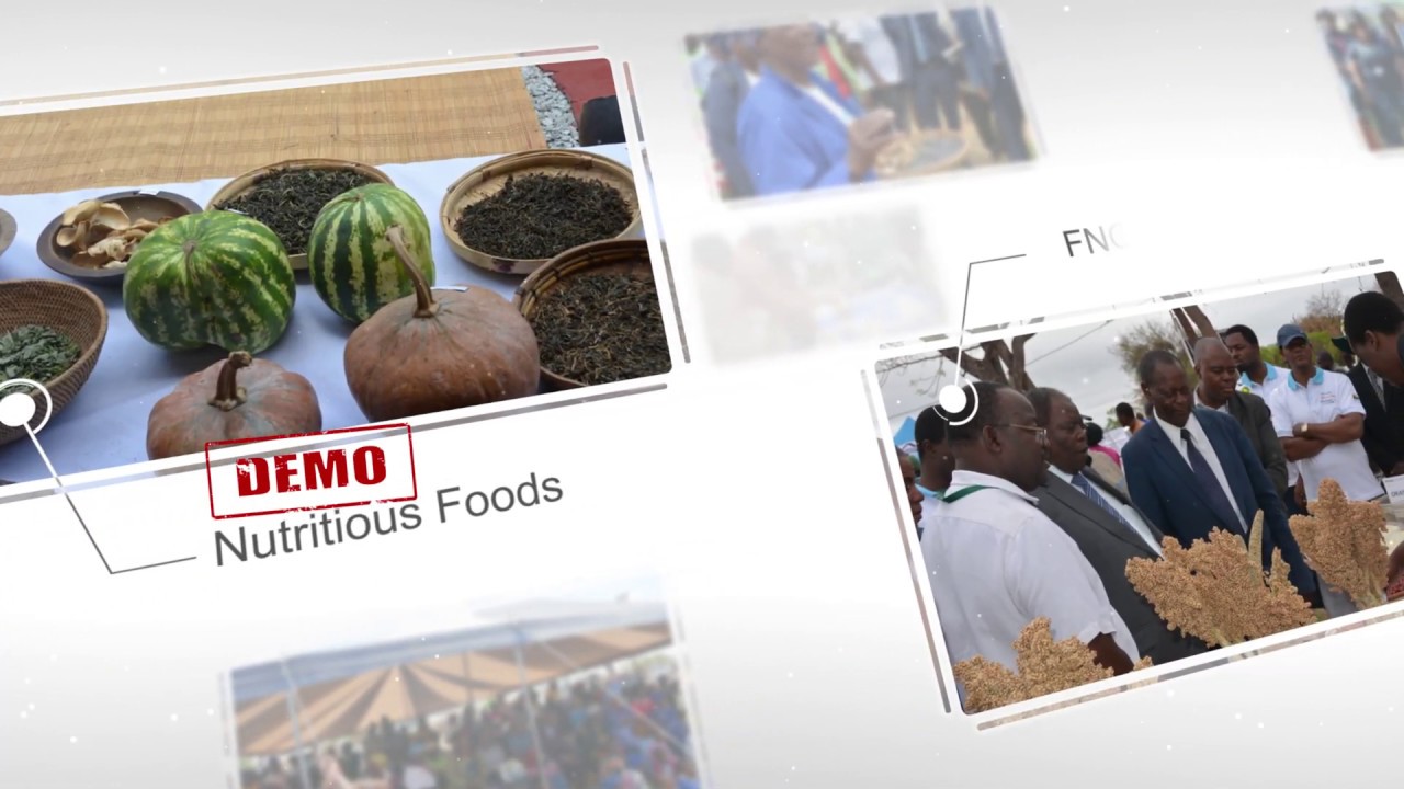The work of FNC Zimbabwe