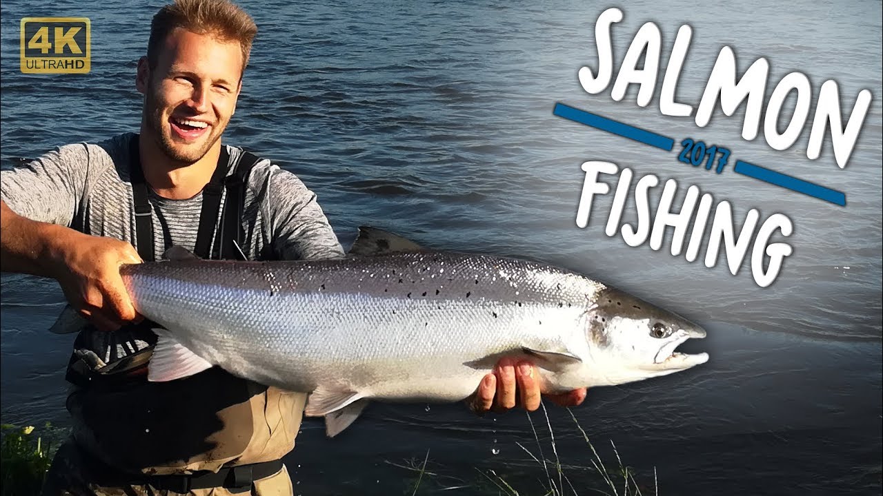 LAKSETUR FOR DRENGER&Oslash;VE - Skjern &Aring; | Salmon Fishing