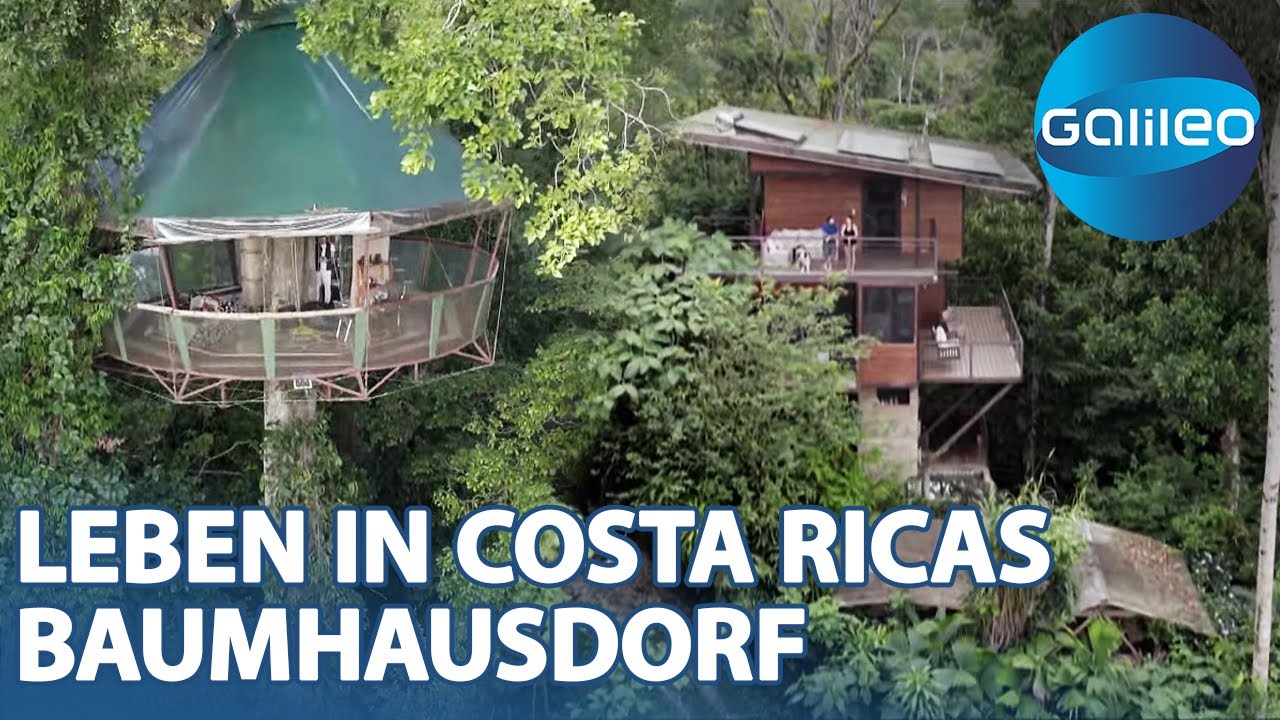 Bis zu 500€ pro Nacht: So lebt es sich im Baumhausdorf in Costa Rica