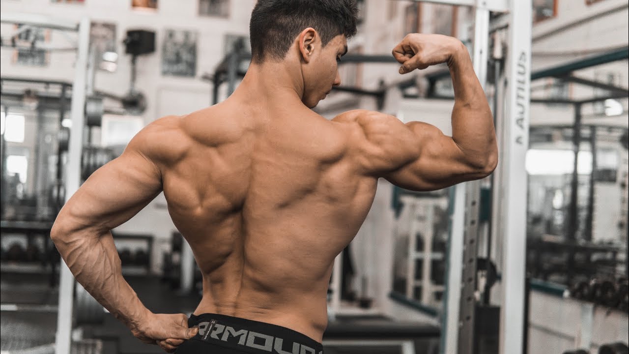 BUILDING A MASSIVE BACK | 6 Weeks Out | Armin Mahr