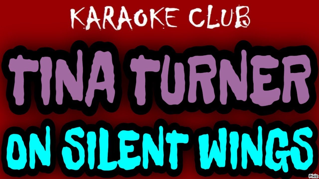 TINA TURNER - ON SILENT WINGS ( KARAOKÊ )