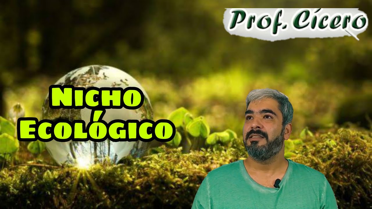 O que é nicho ecológico