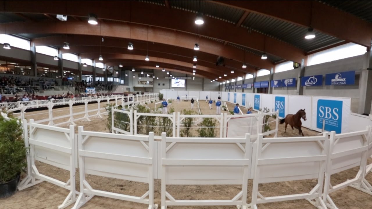 Equi TV sur le Selection Show sBs 2017