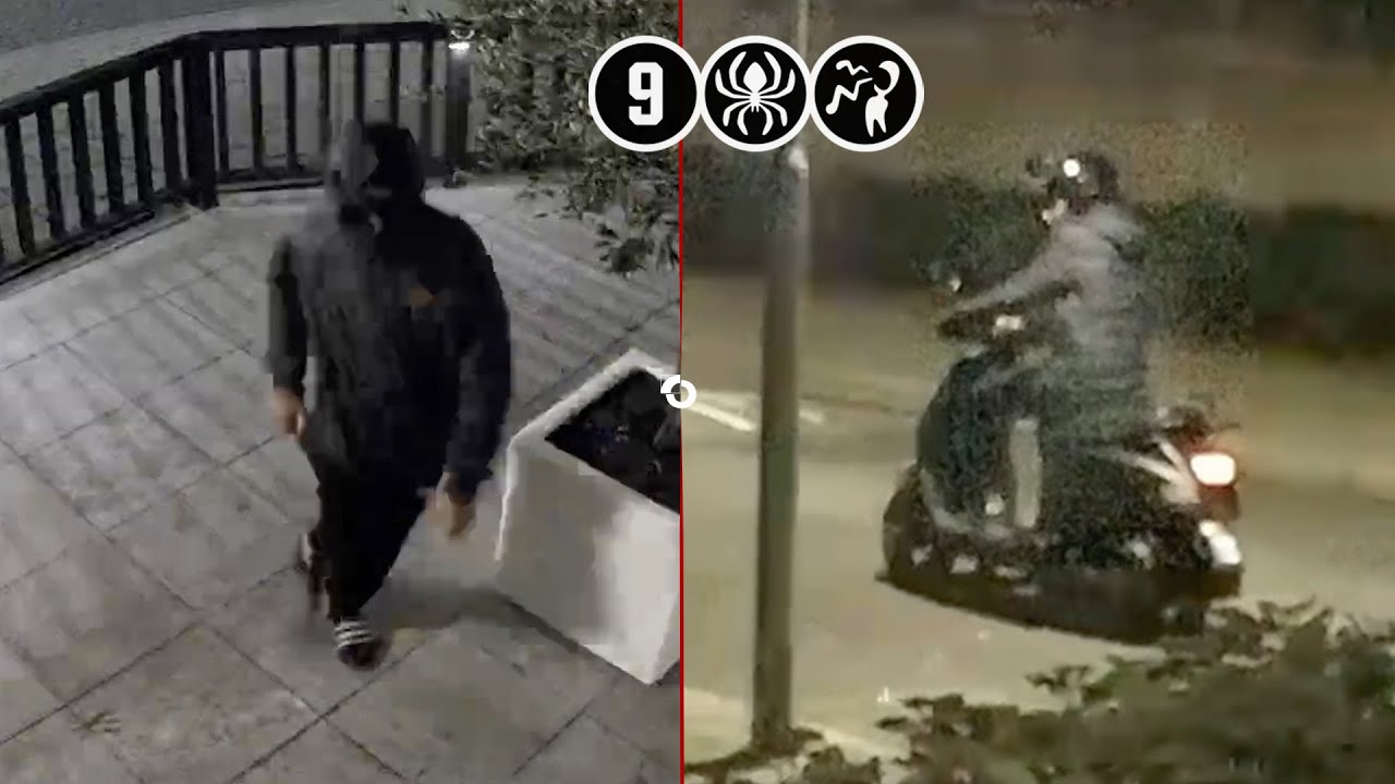 Aantal daders op beeld van reeks bedreigingen | Breda