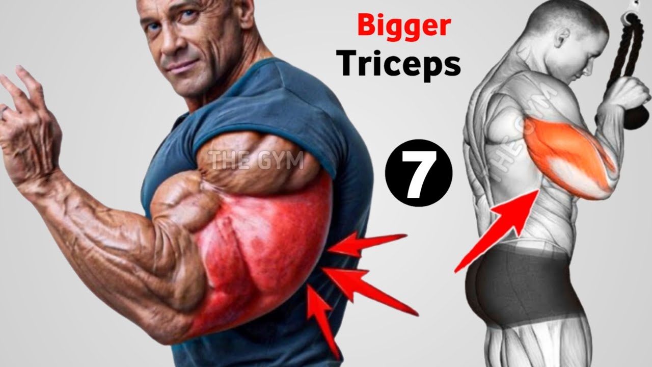 7 Best Triceps Workout at Gym for Bigger & Stronger Arms