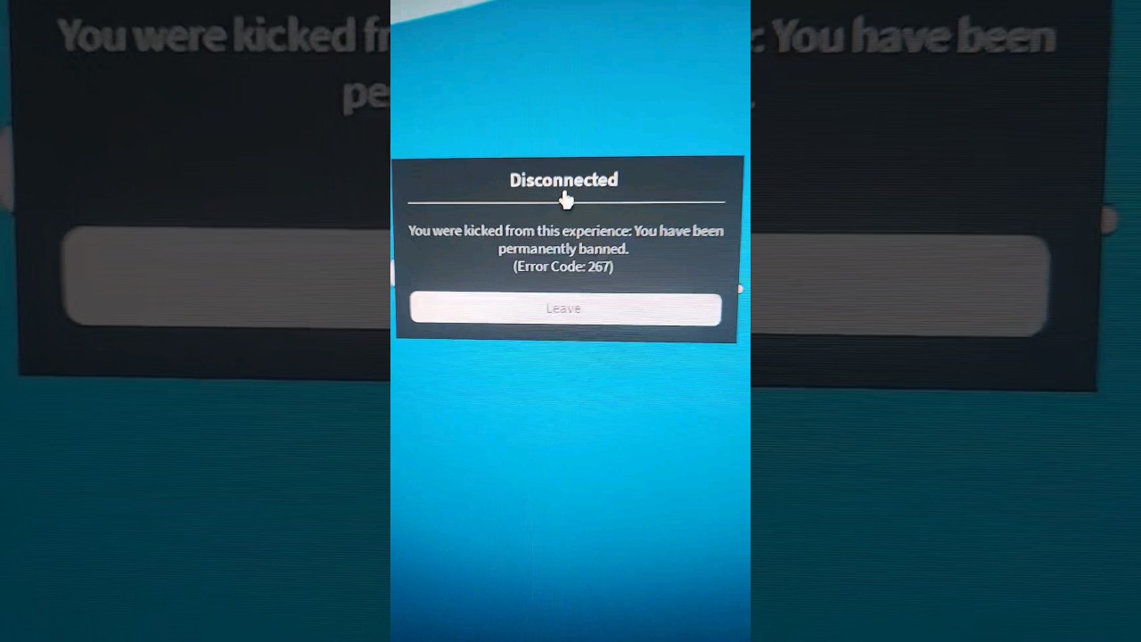 Logging Onto Blox Fruits & Getting Permanently Banned For No Reason